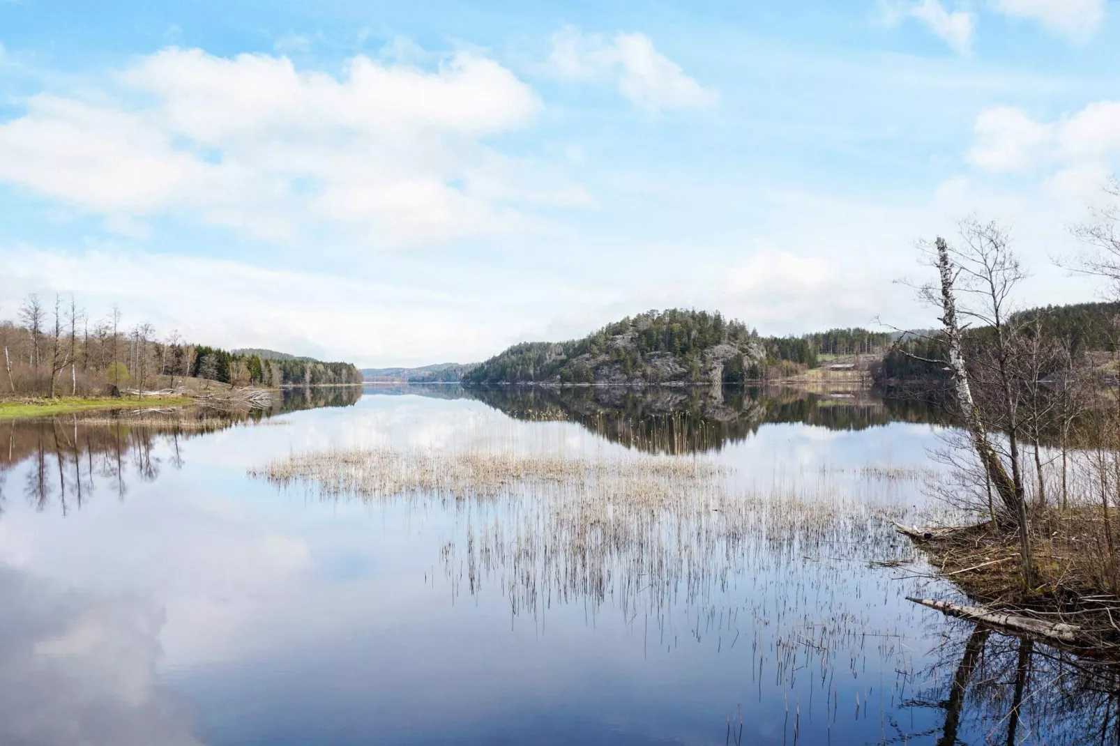 4 person holiday home in HÄLLEVADSHOLM - Untagged