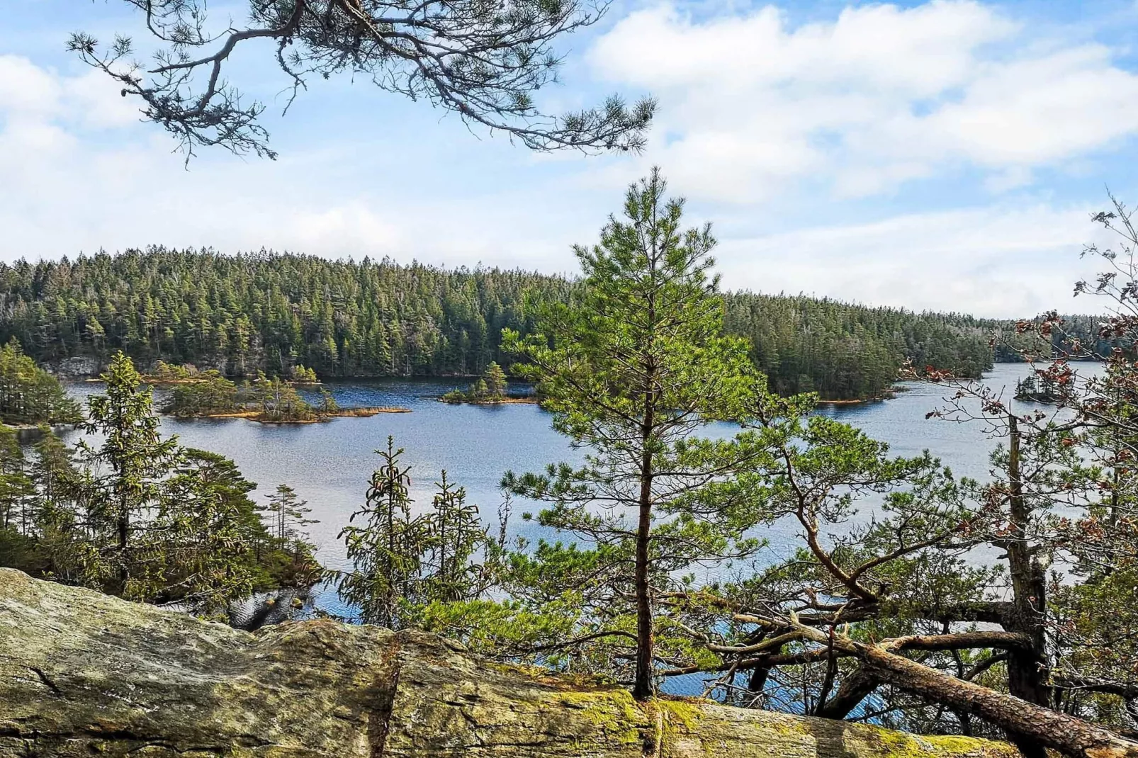 4 person holiday home in HÄLLEVADSHOLM - Untagged