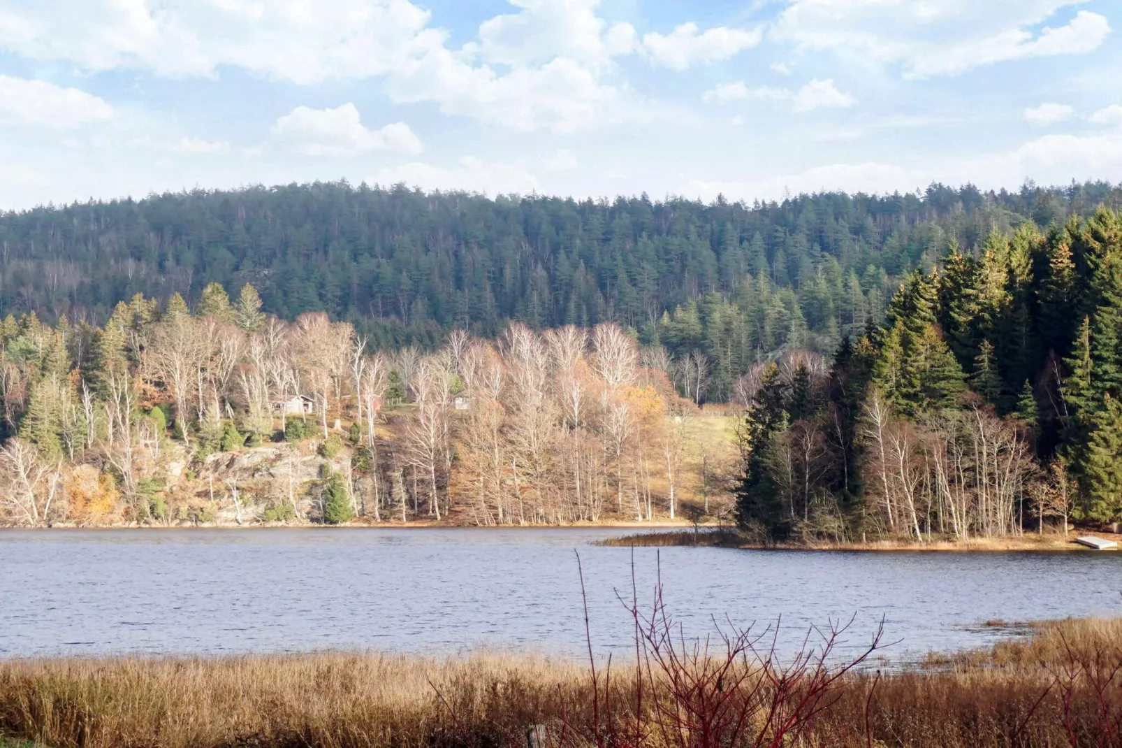 4 person holiday home in HÄLLEVADSHOLM - Untagged