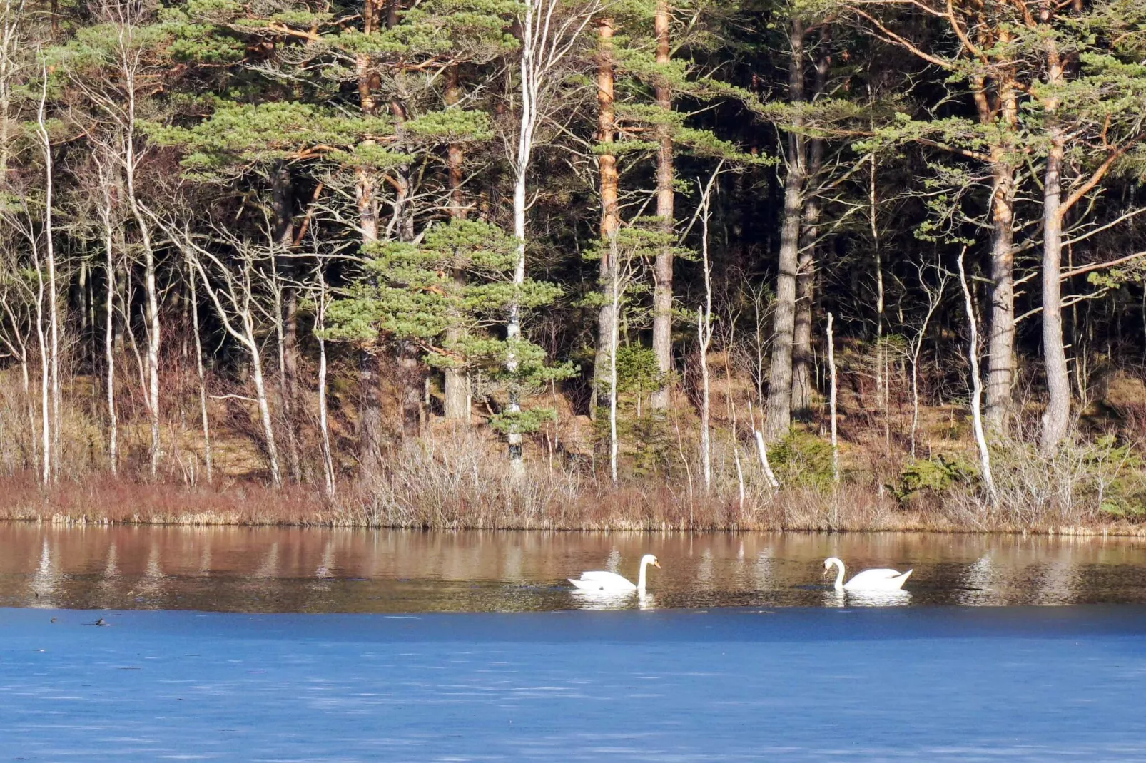 4 person holiday home in HÄLLEVADSHOLM - Untagged