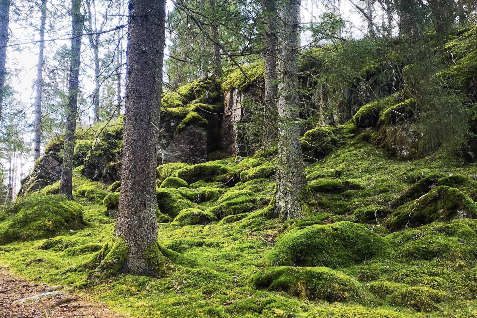 4 person holiday home in HÄLLEVADSHOLM - Untagged