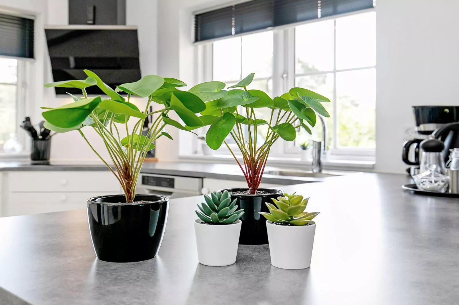 8 person holiday home in Læsø - Indoor