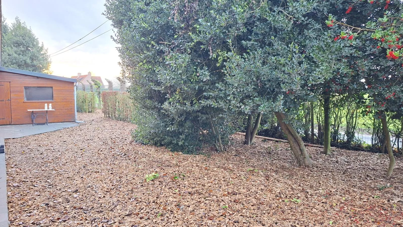 ZweveZalig - Gardens in summer