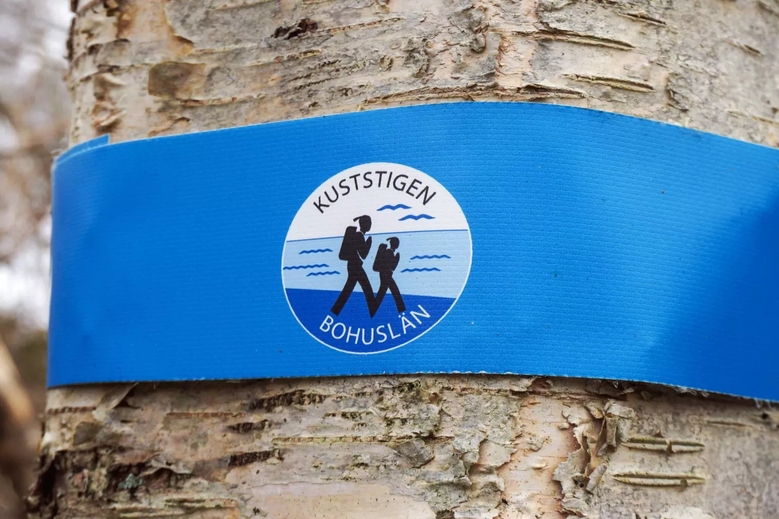 4 person holiday home in LYSEKIL - Untagged