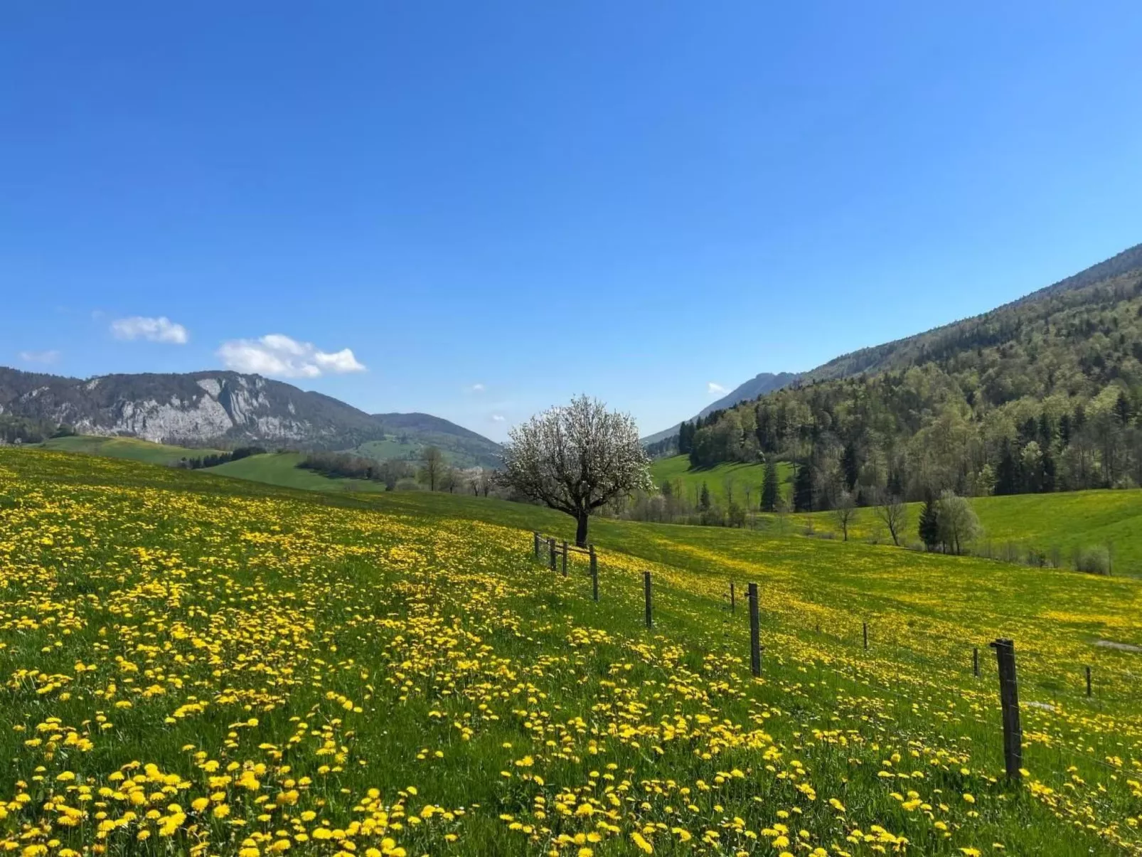 Schafmatthof 1 Obergeschoss