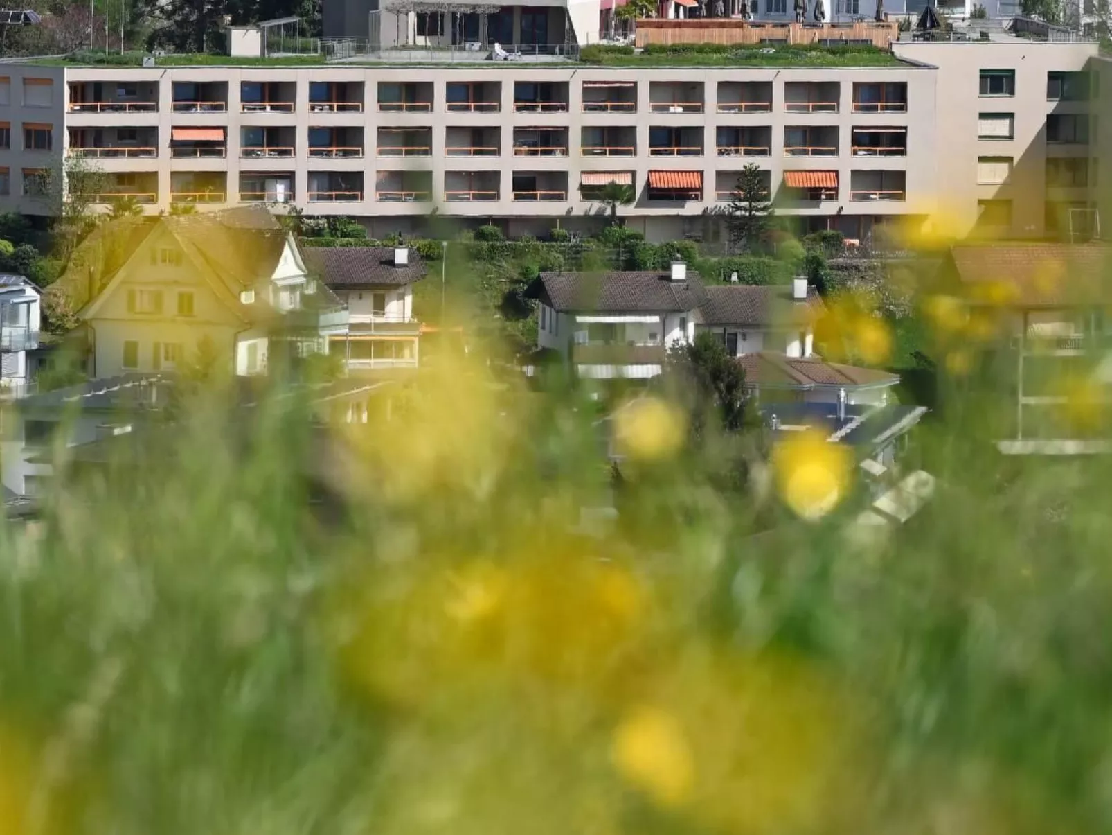 Appartement Alpenblick / C4