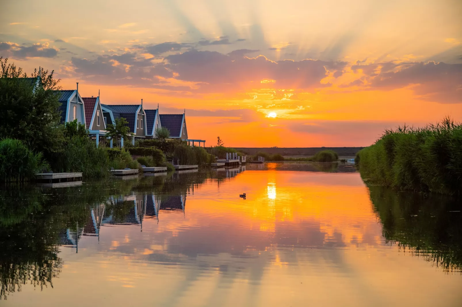Resort Poort van Amsterdam 21-Areas summer 1km