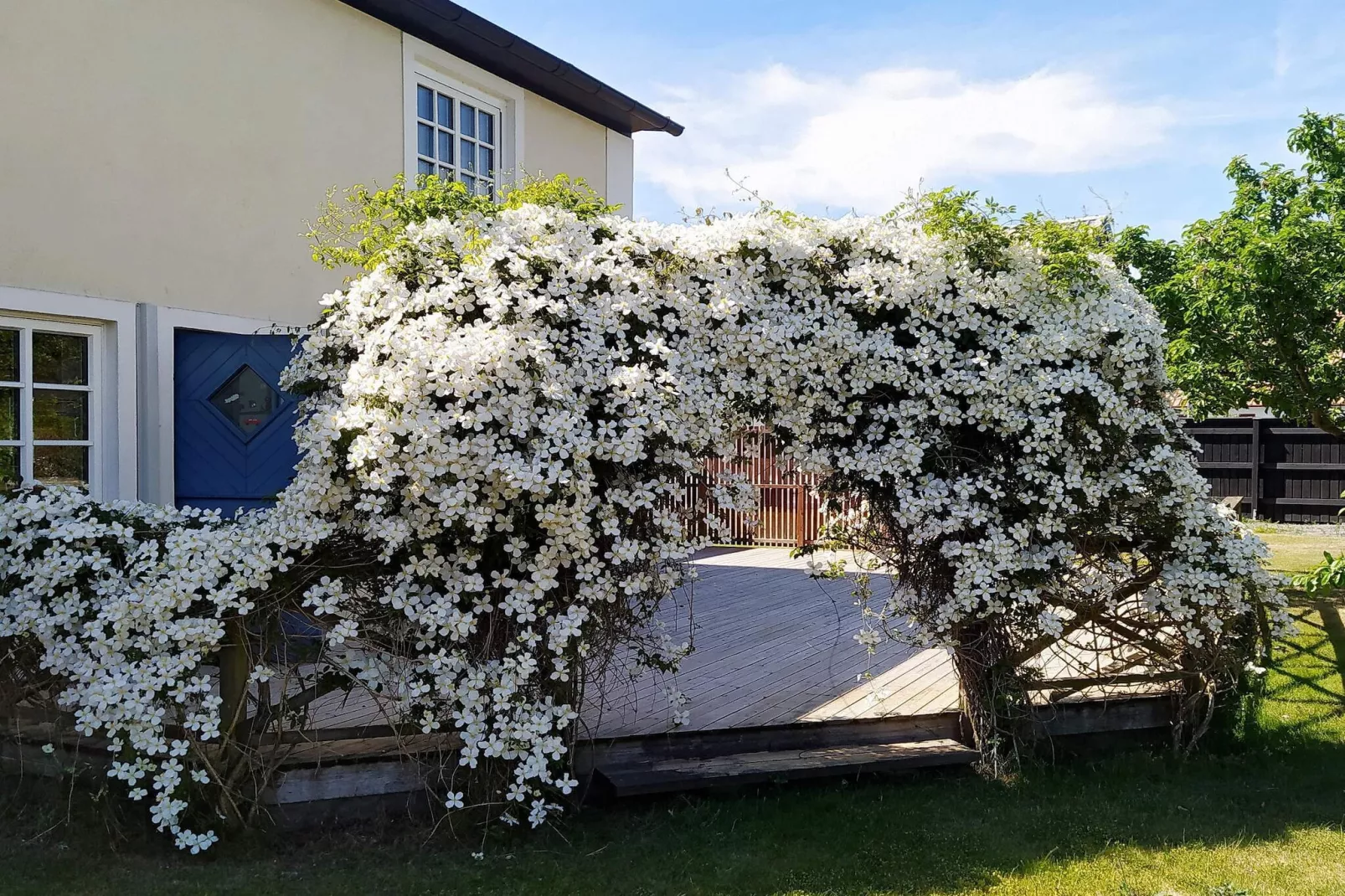 Maison de vacances pour 5 a SMYGEHAMN