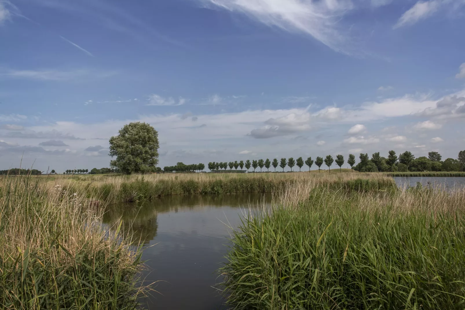 Resort de Rijp 26-Areas summer 5km