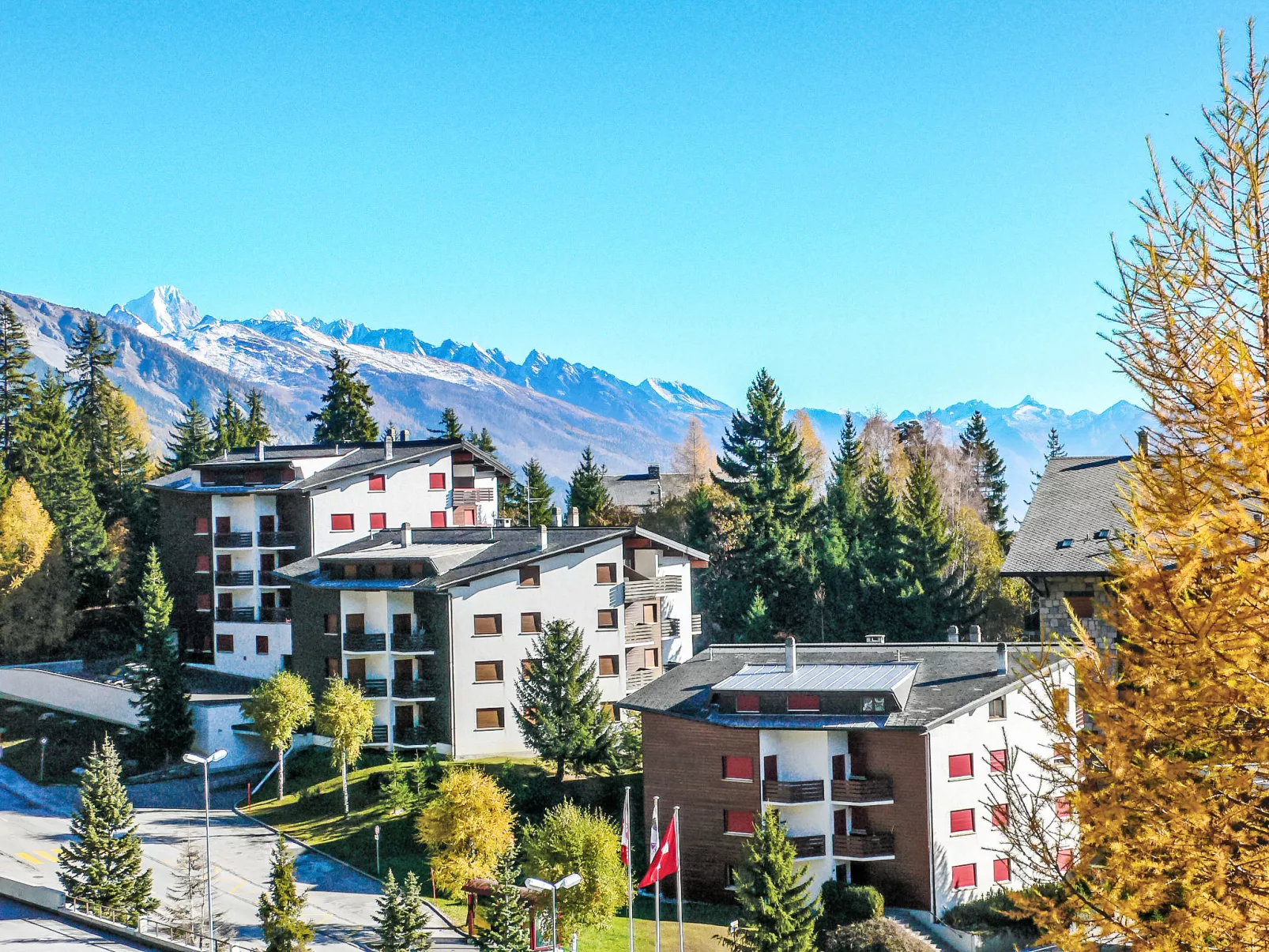 Violettes Vacances A303