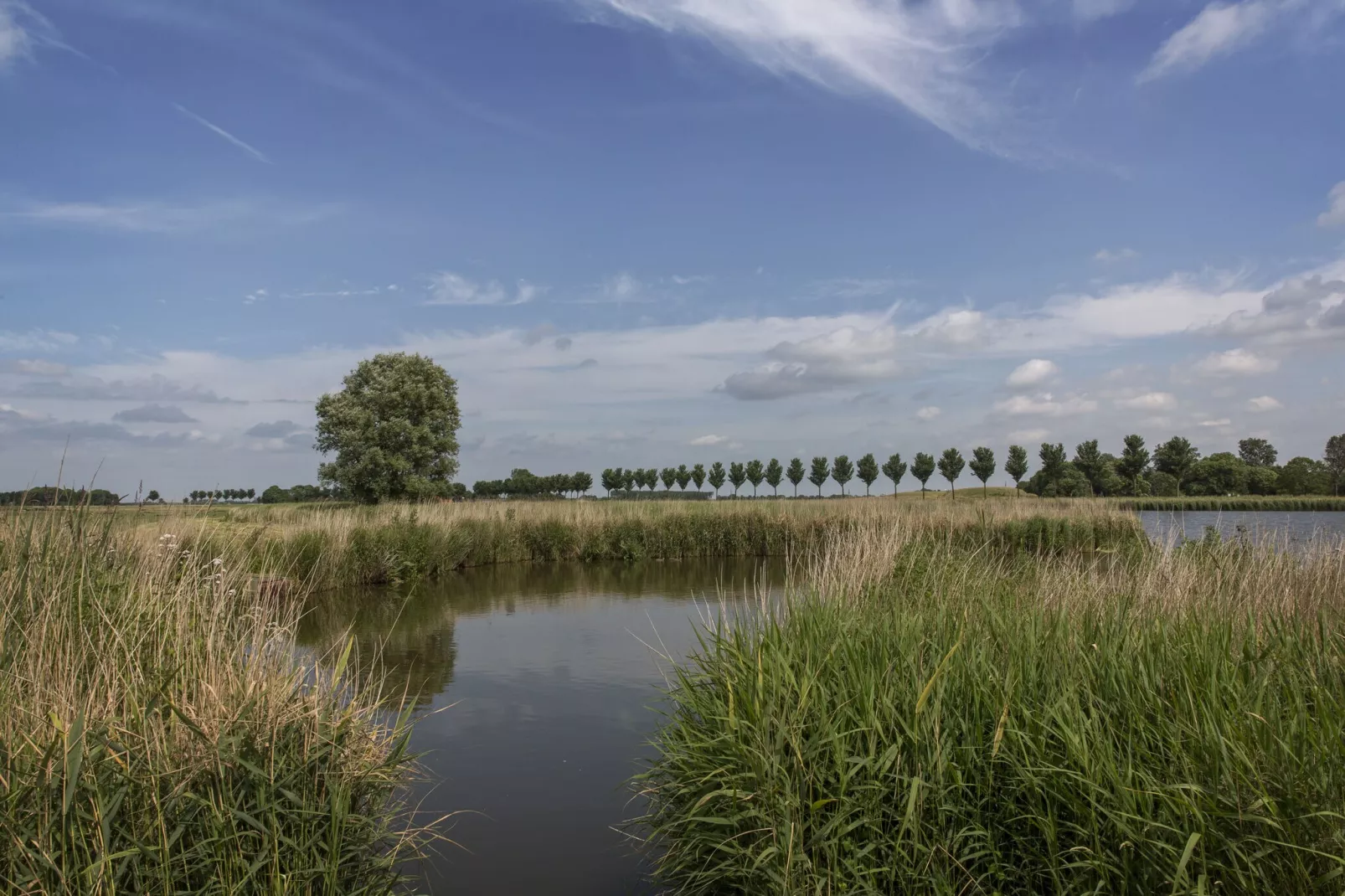 Resort de Rijp 28-Areas summer 5km