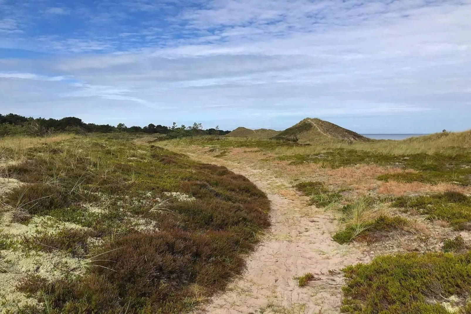 Maison de vacances pour 4 a Læsø