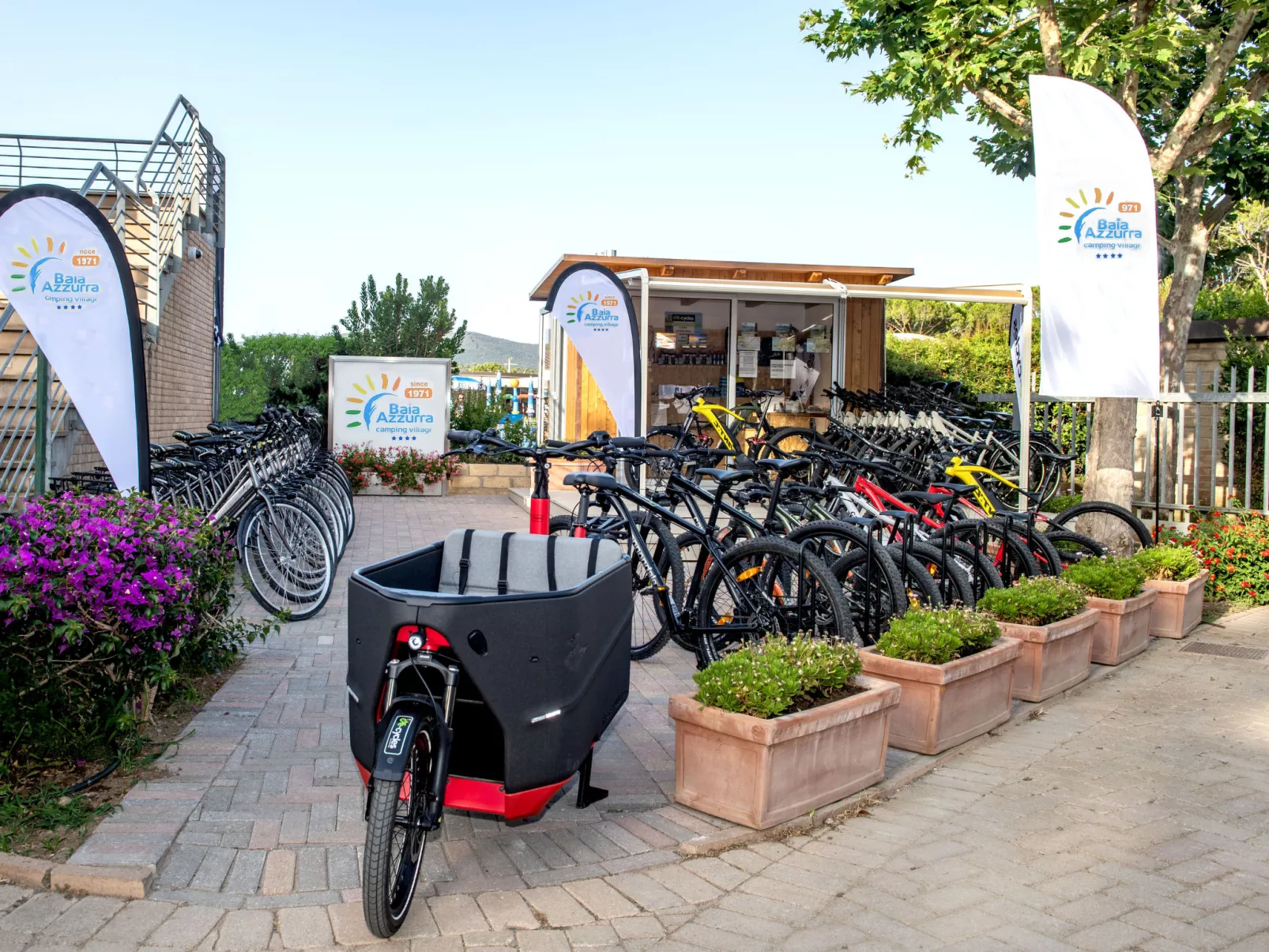 Bungalow Trendy - Dedans