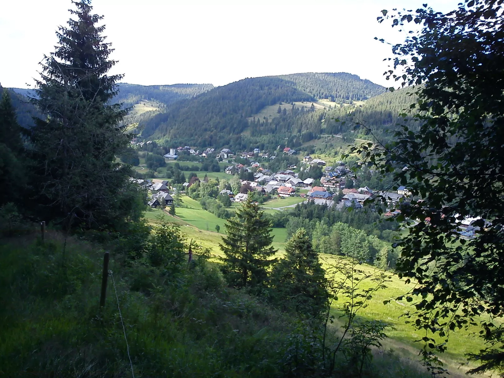 Kleine Auszeit - Area