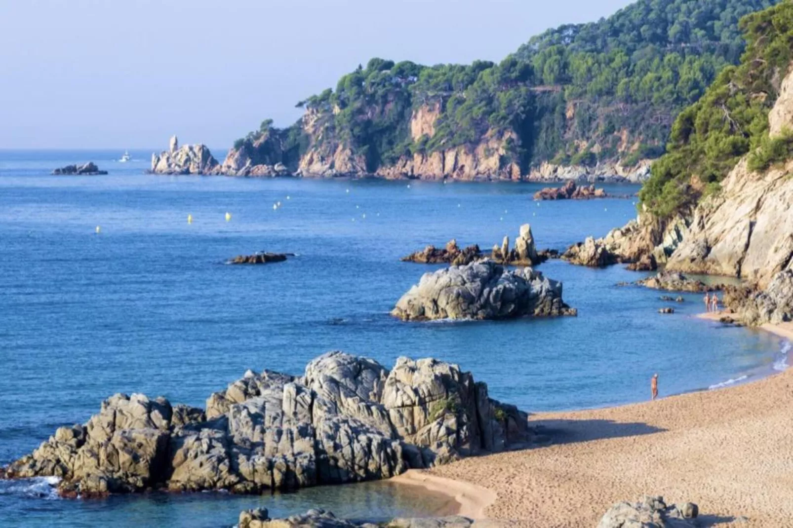 Dama - Areas within 20km in summer