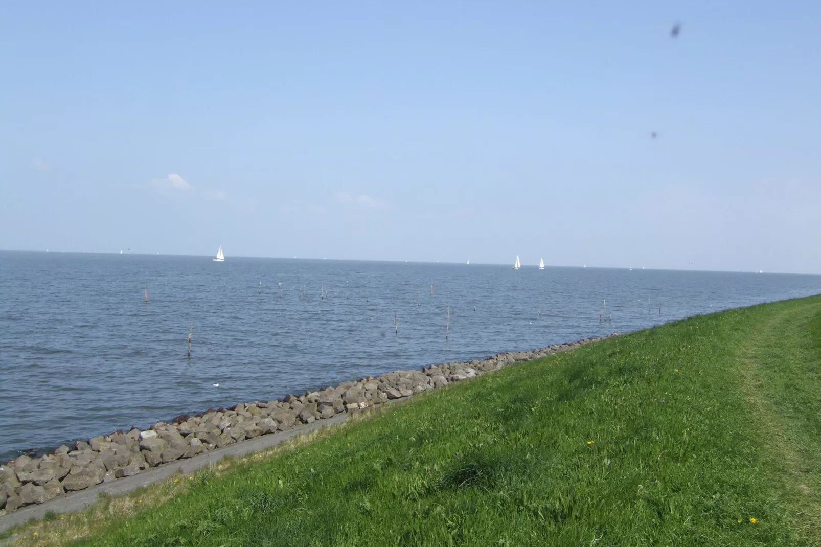 Villavakantiepark IJsselhof 12-Areas summer 1km