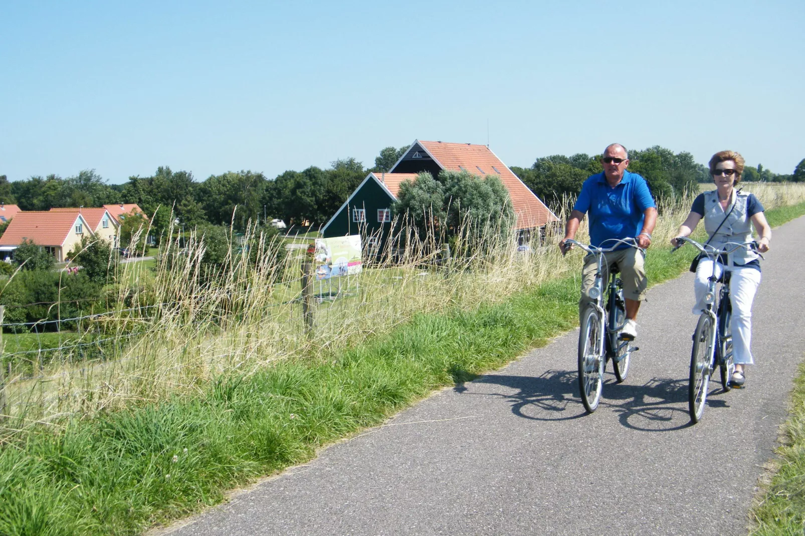 Villavakantiepark IJsselhof 12-Areas summer 1km