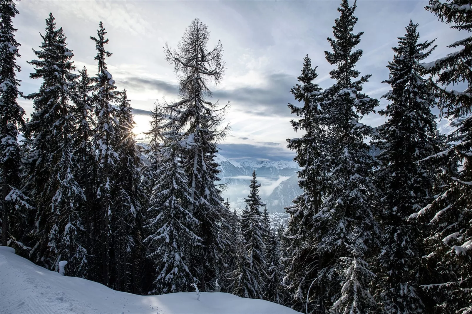 Chalet Holleri - Gebiet Winter 5 km