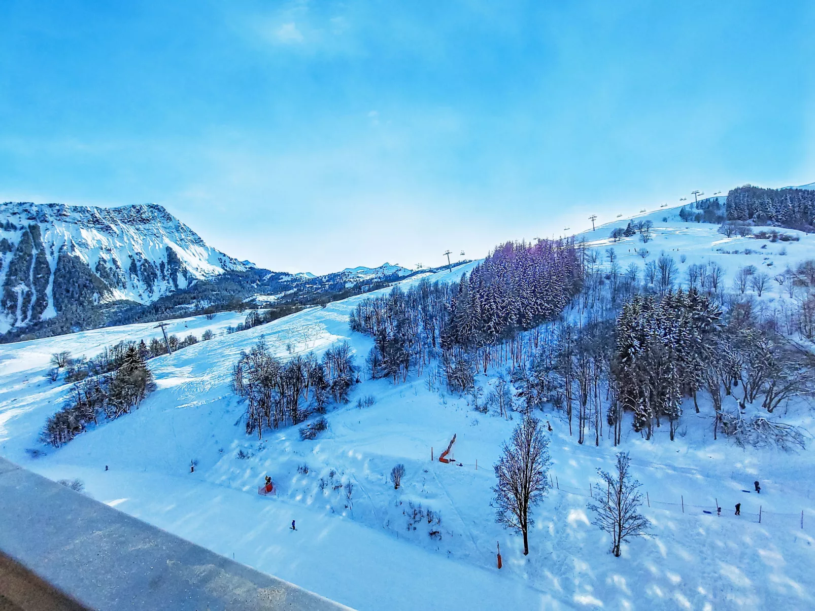 Vostok Zodiaque - Outside