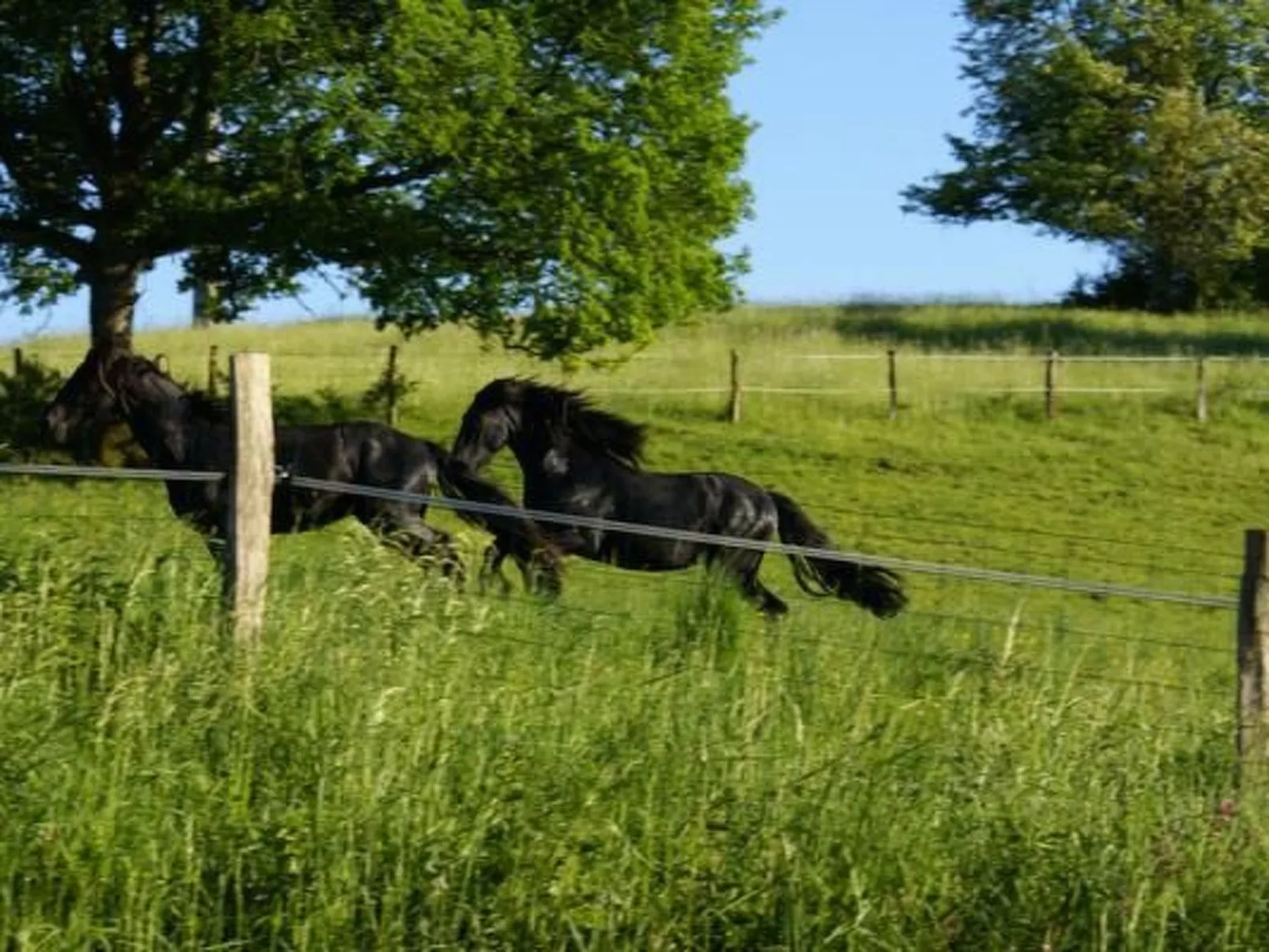 In Le Châtelet-Sur-Meuse mit Grill, Garten und Terrasse
