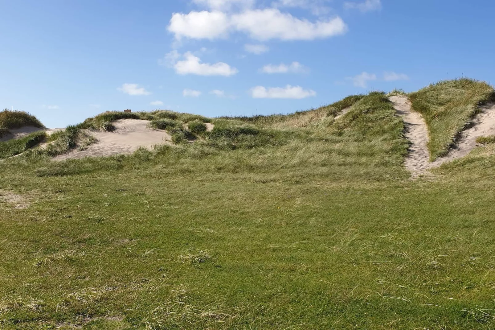 4 person holiday home in Hjørring-By Traum - Untagged