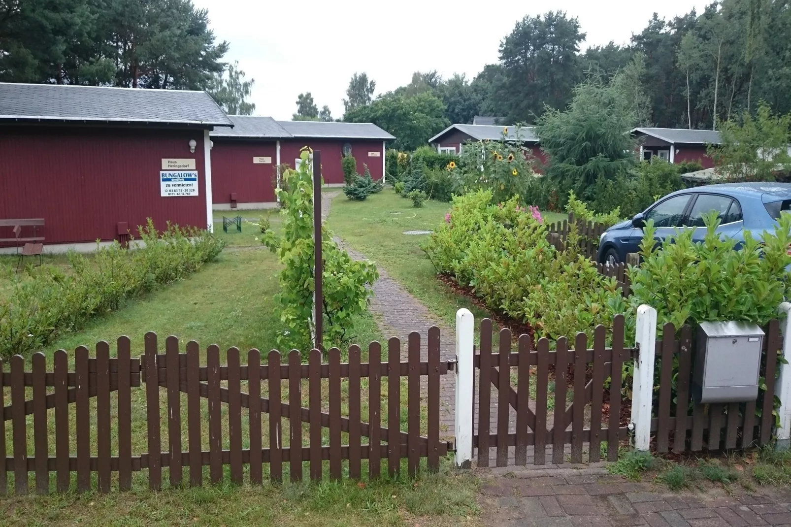 Räuberkuhle Koserow - Außenbereich Sommer
