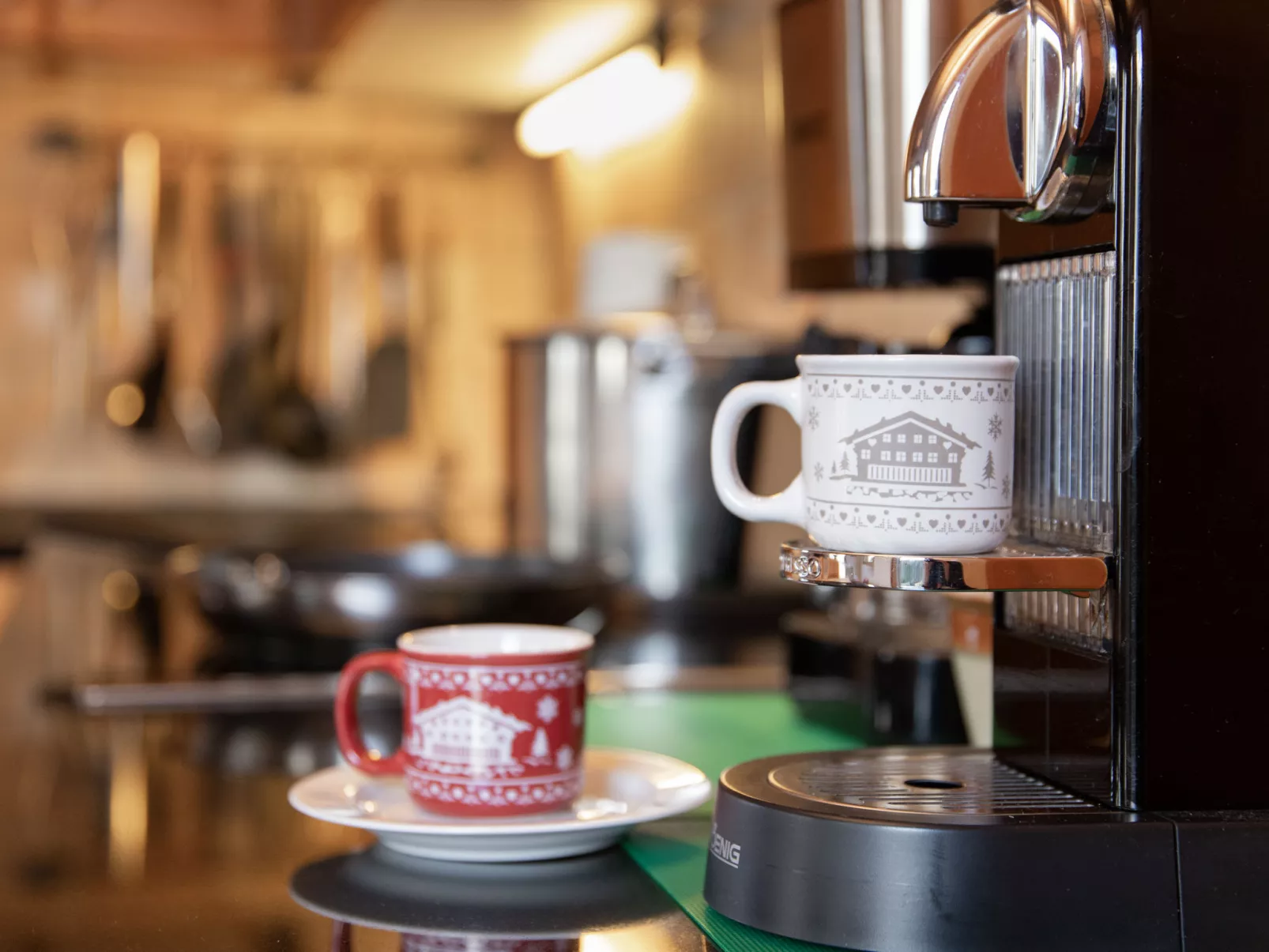 Ecureuil noir - Inside