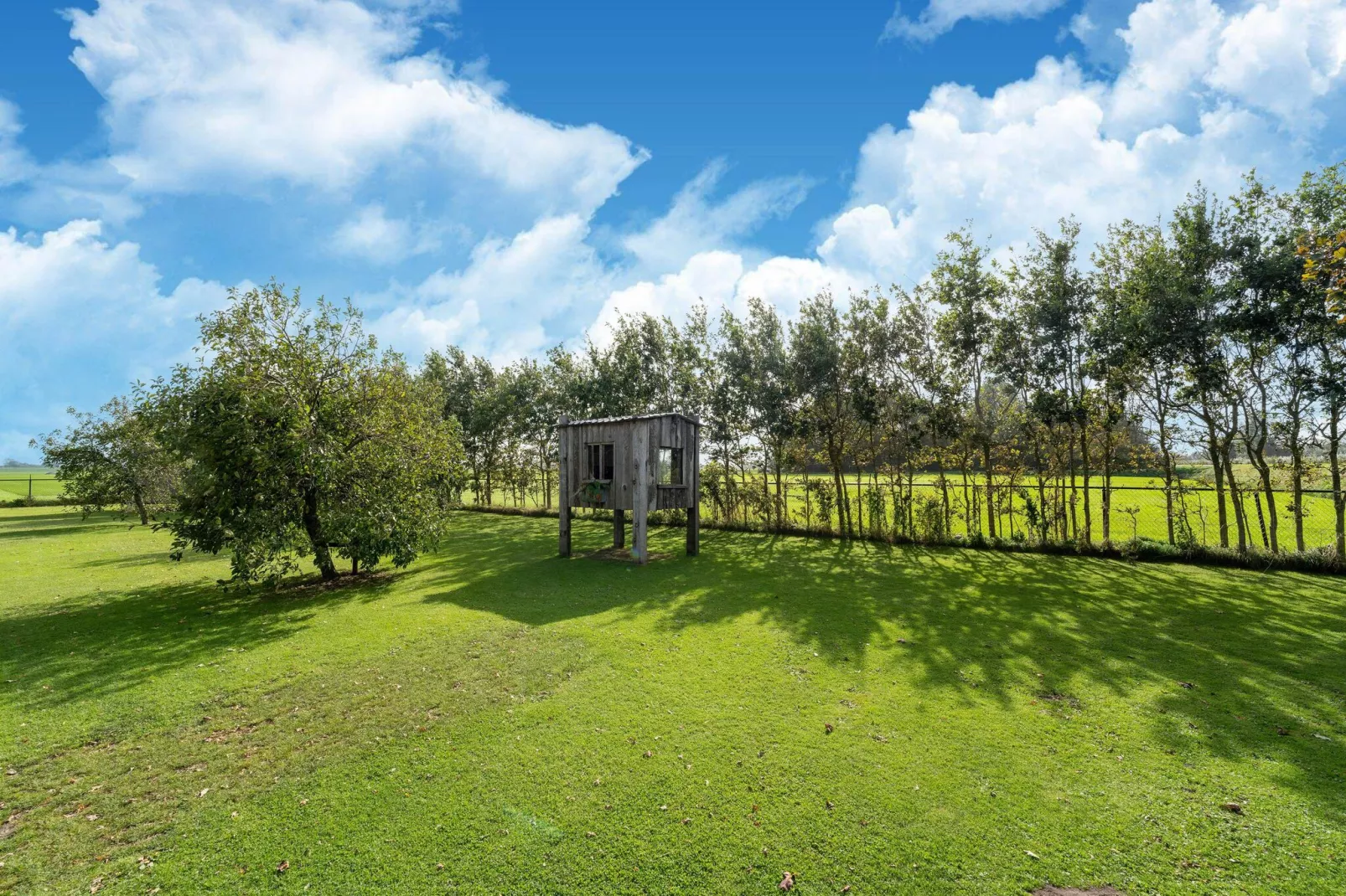 Tiny House-Gardens summer