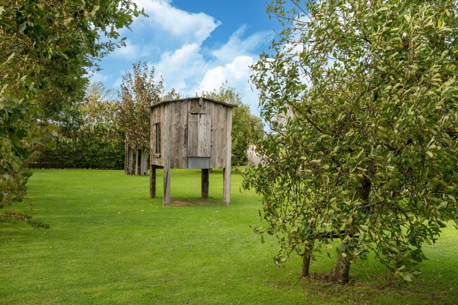 Tiny House-Gardens summer