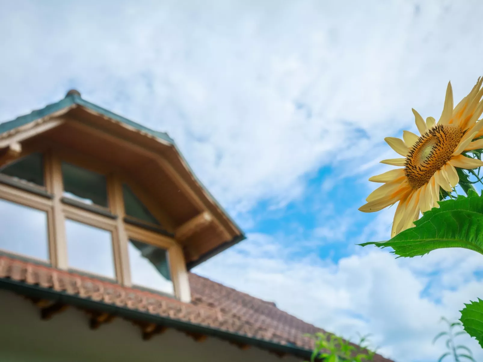 VILLA KATARINA - Outside