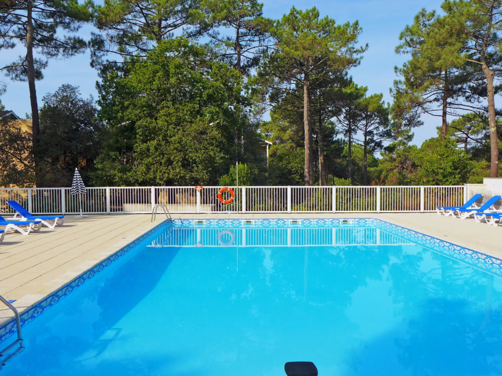 Les Grands Pins - Dehors