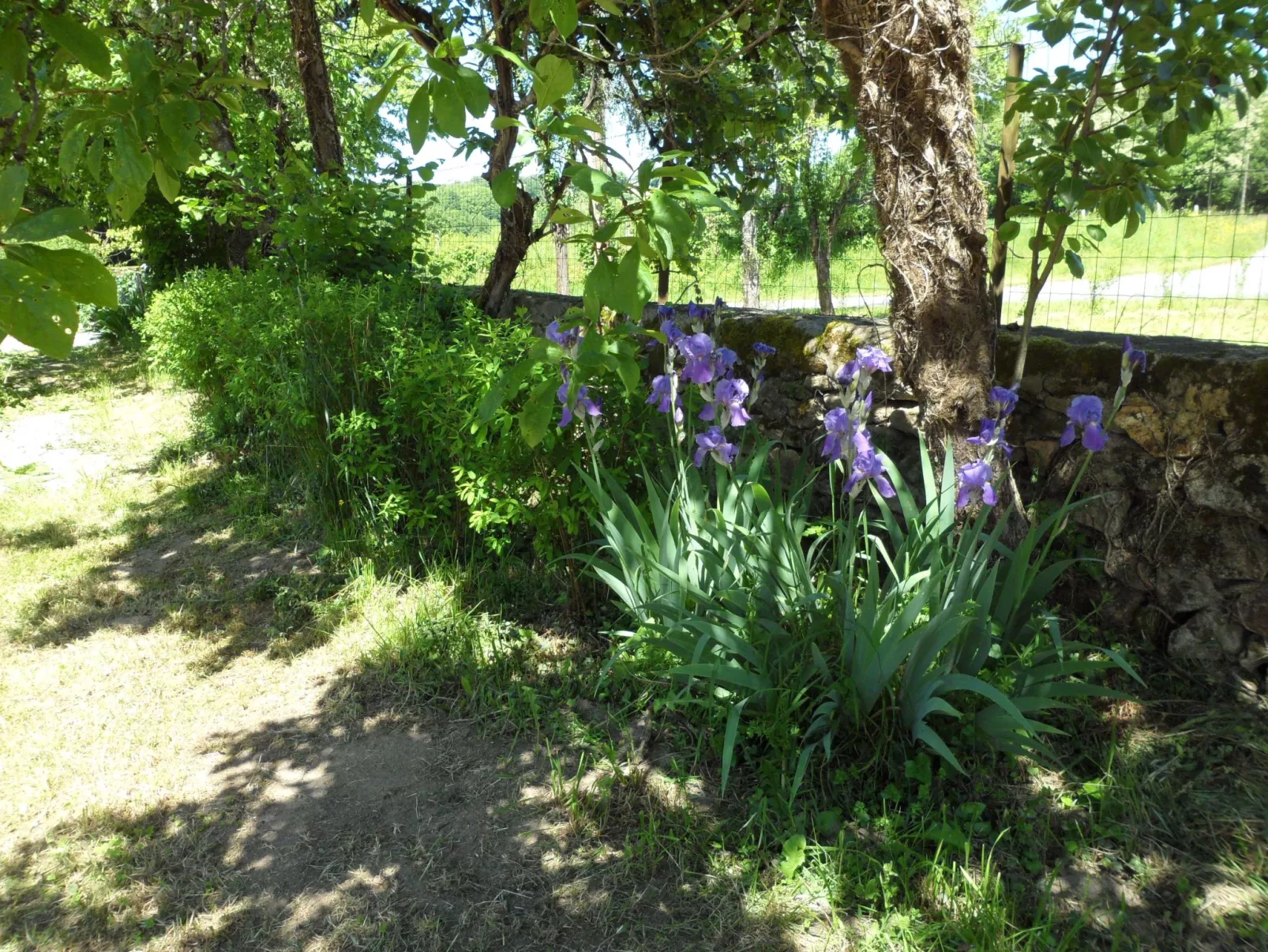 "Aelise" mit eigenem Pool - Draußen