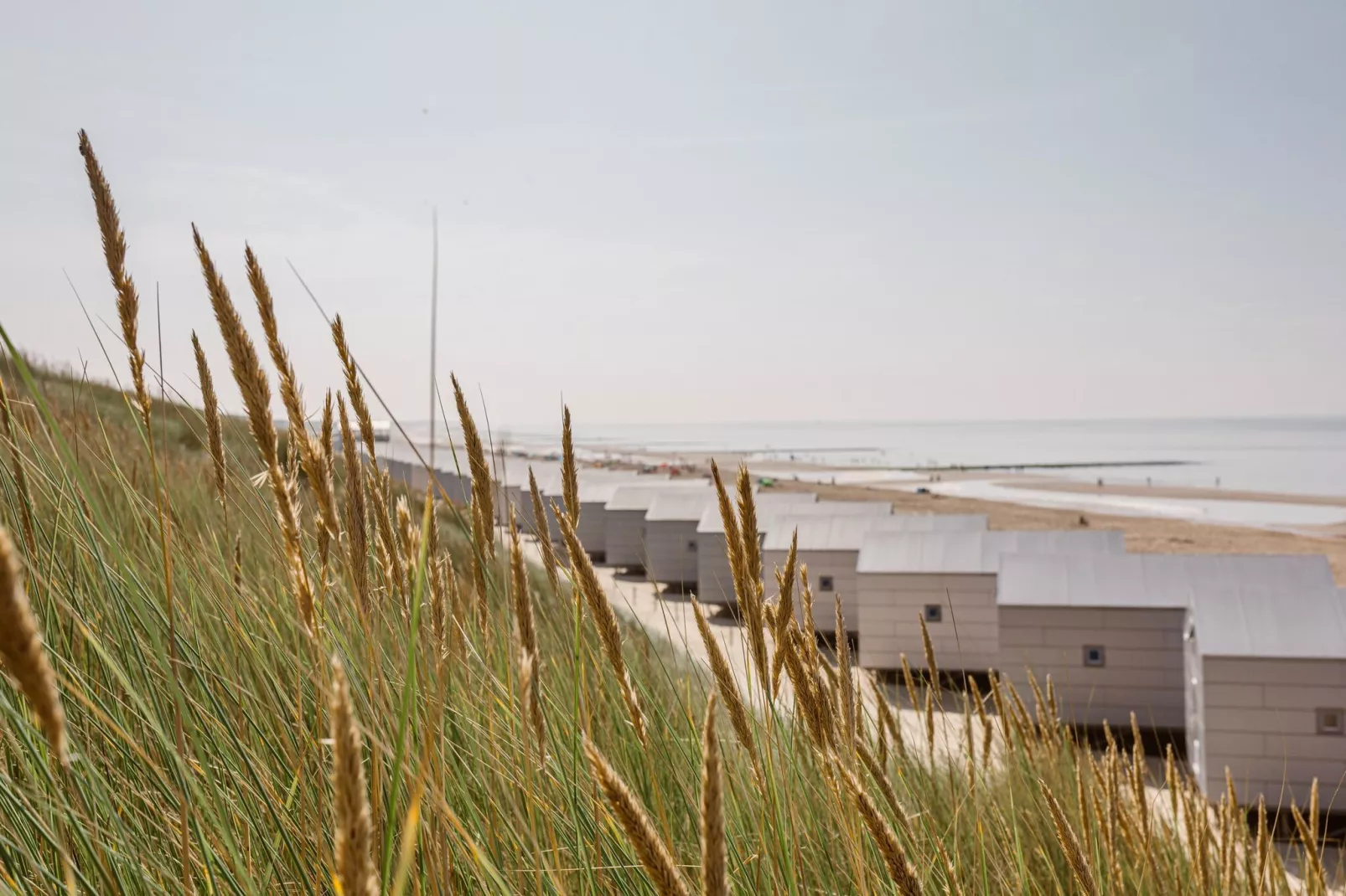 Resort Beach Houses Julianadorp 1-Areas summer 1km