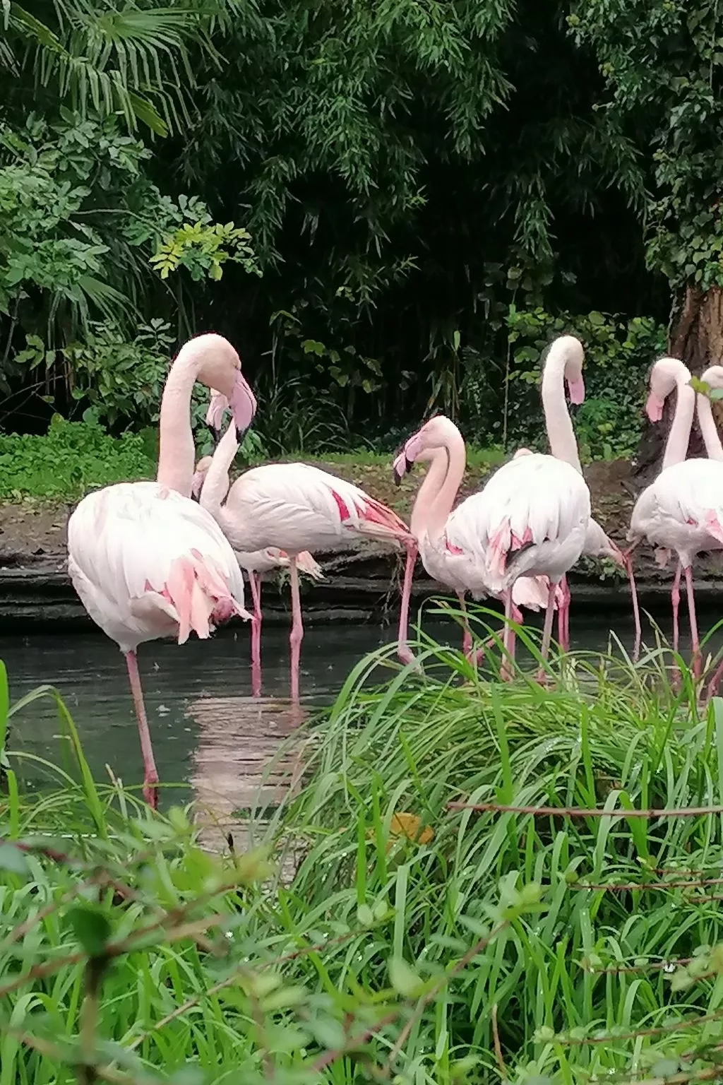 Maison Bleu - Outside