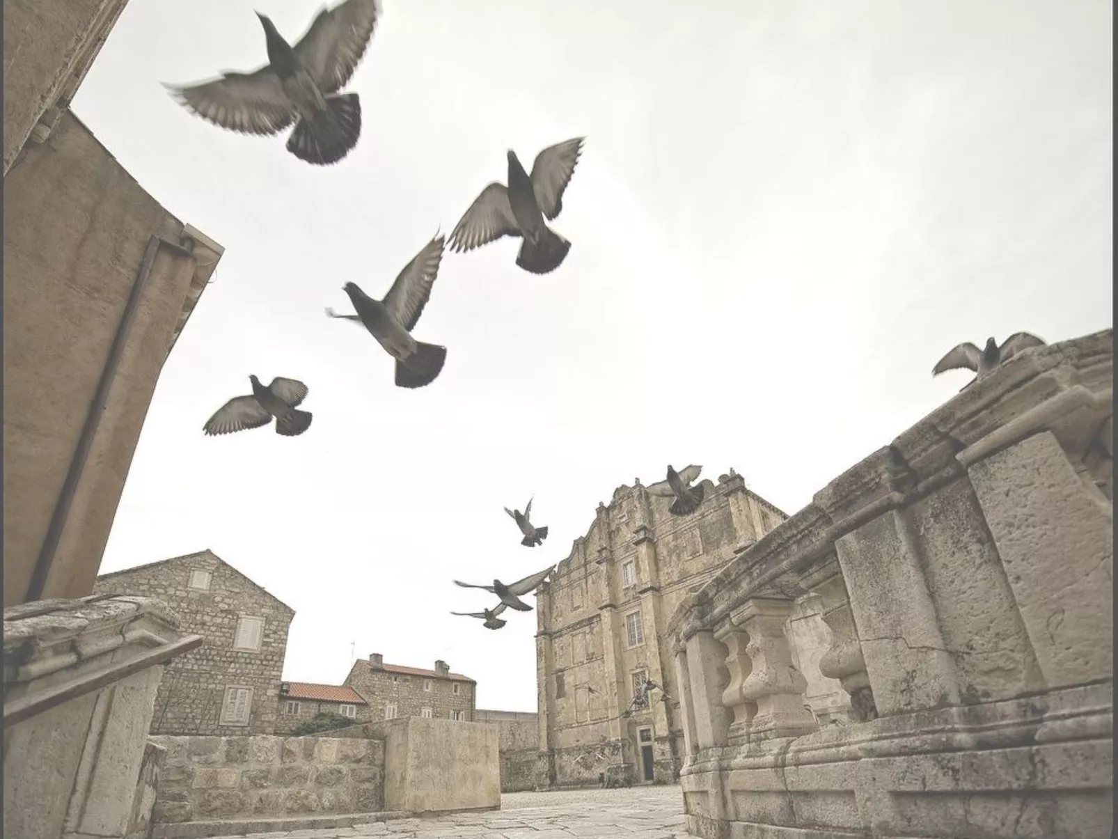 Gästezimmer "Meerblick" mit Blick auf das Wasser - Outside