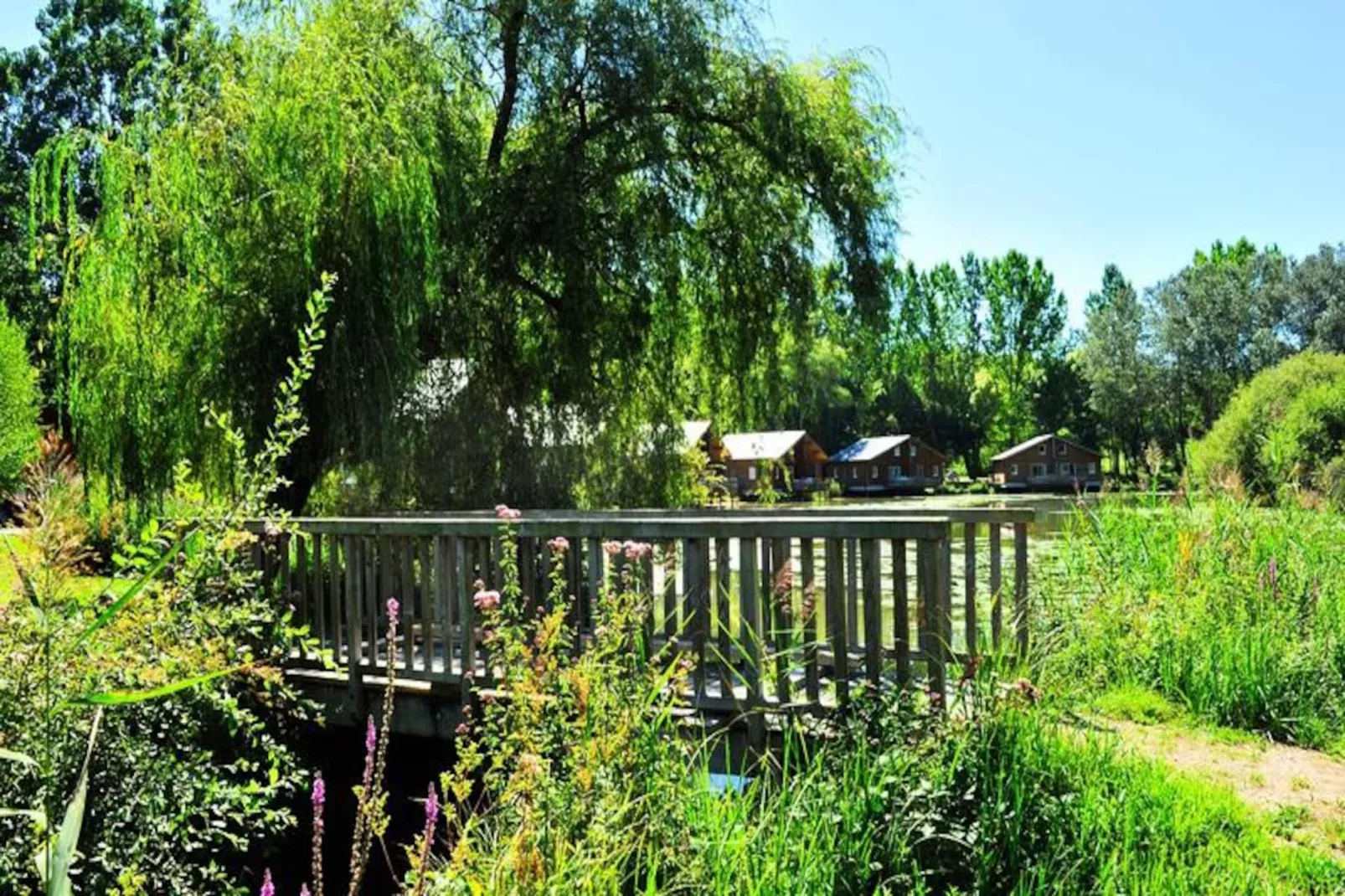 Résidence Goélia Les Cottages du Lac*** - Untagged