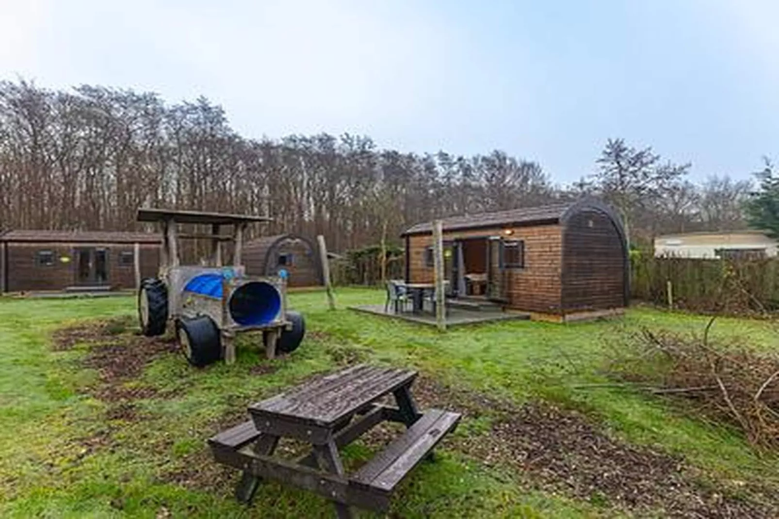 Duinhoeve Duinlodges 4pers (huisdiervriendelijk) - Terrasse / balcon