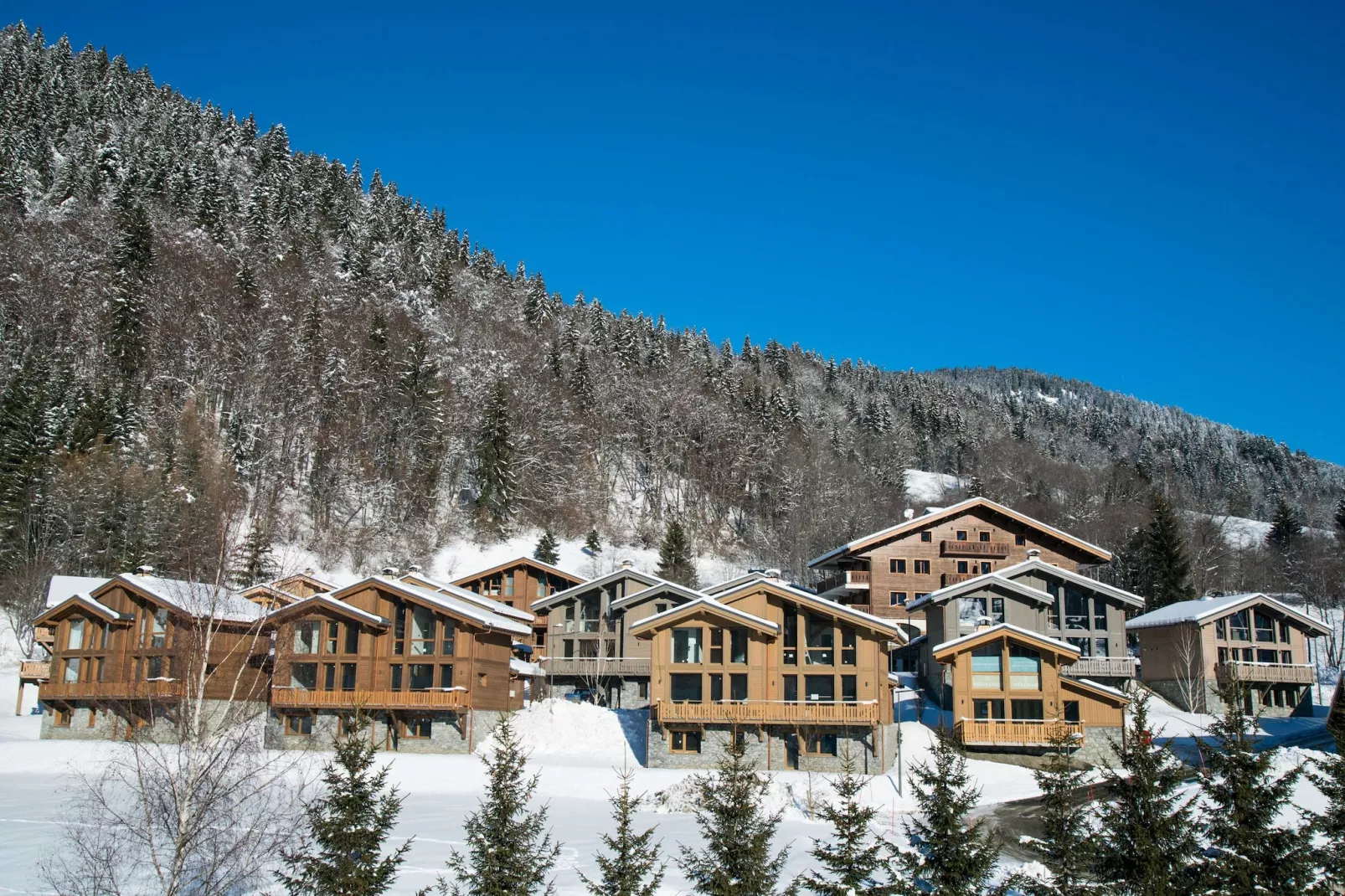 Les Portes de Megève 3 - Außenbereich Winter