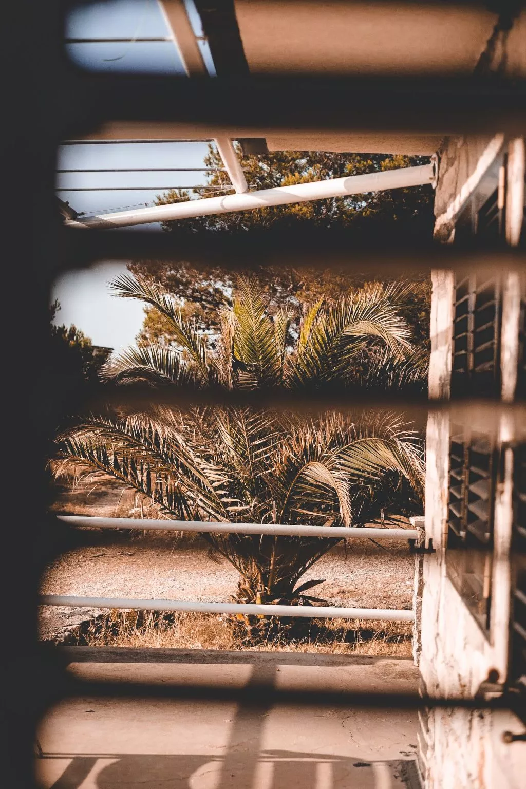 Haus am Meer Šolta - Dehors