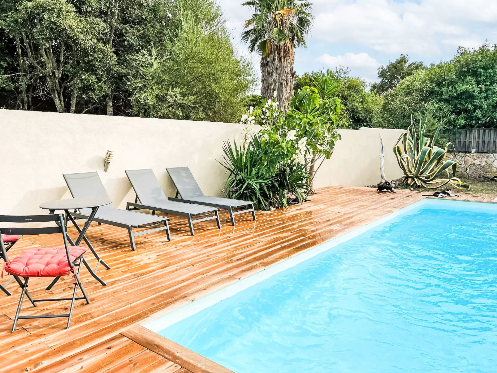 Tarabucetta - Dehors