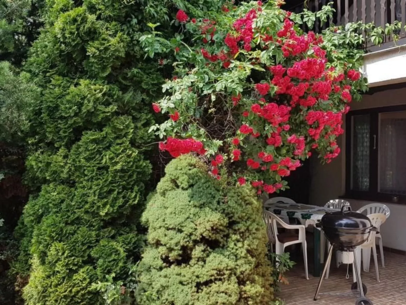 Mit Wasserblick - Dehors