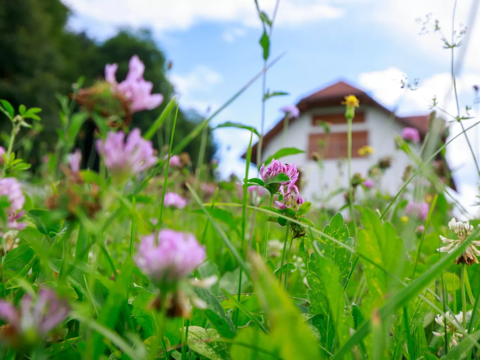 VILLA KATARINA - Outside