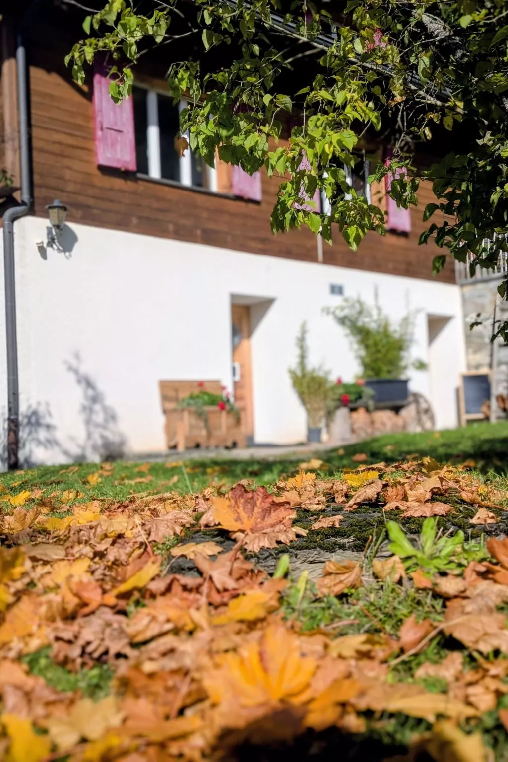 Chalet Sonnenhof - Outside