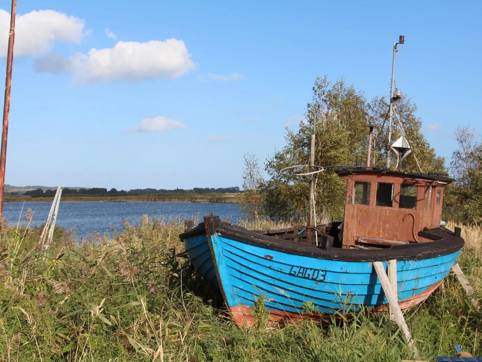 Tohus - Tamme - Image-tags.info