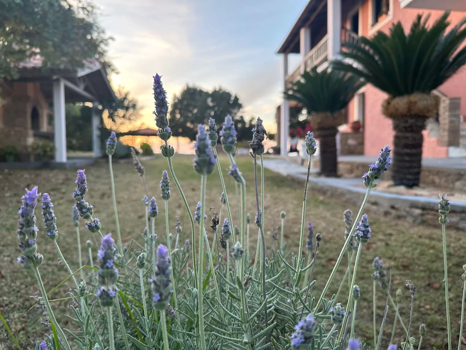 Genari Beach Atemberaubender Aufenthalt mit Meerblick - Draußen