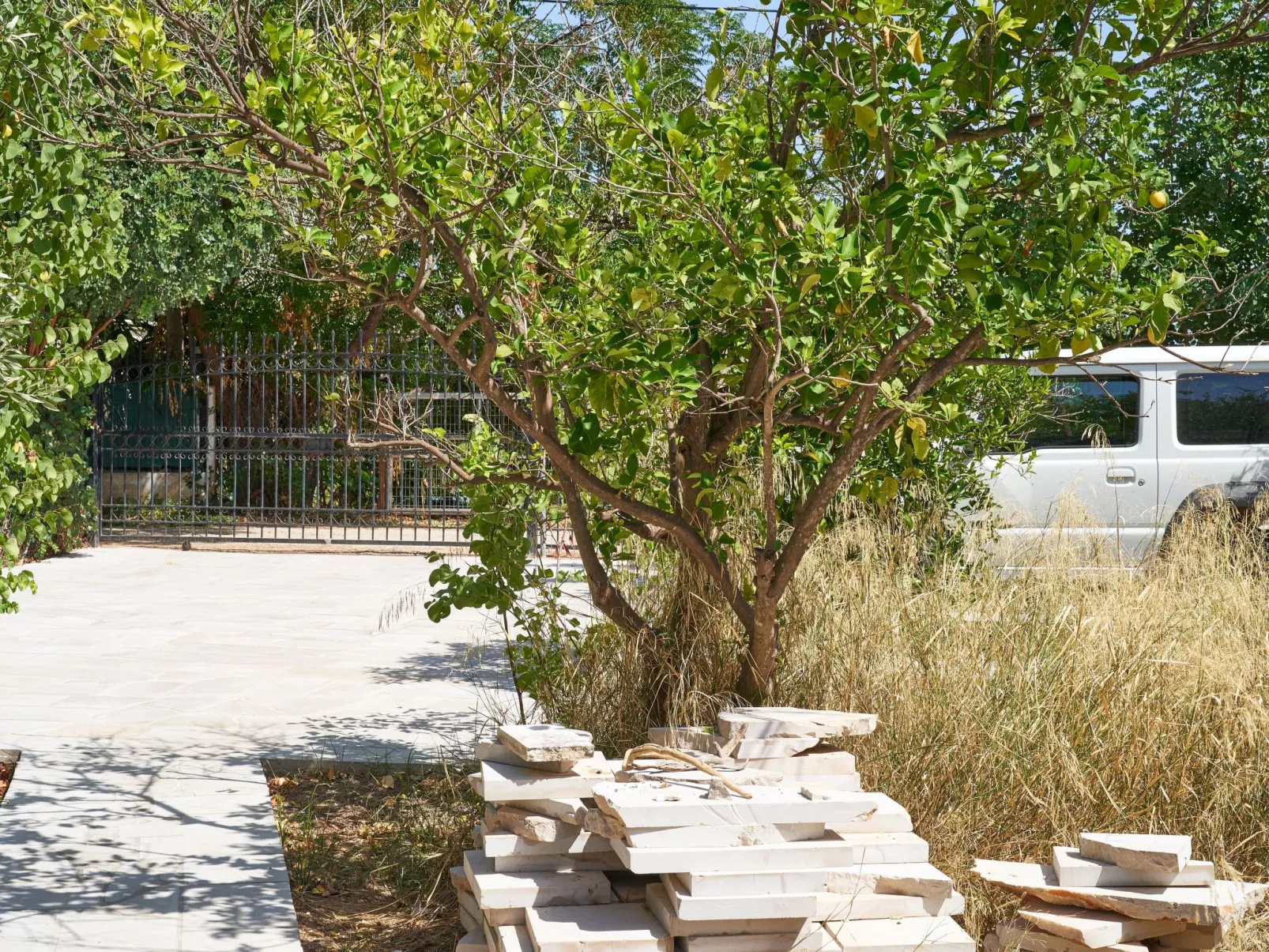 Wohnung in Kallithea mit Garten und Terrasse - Image-tags.info