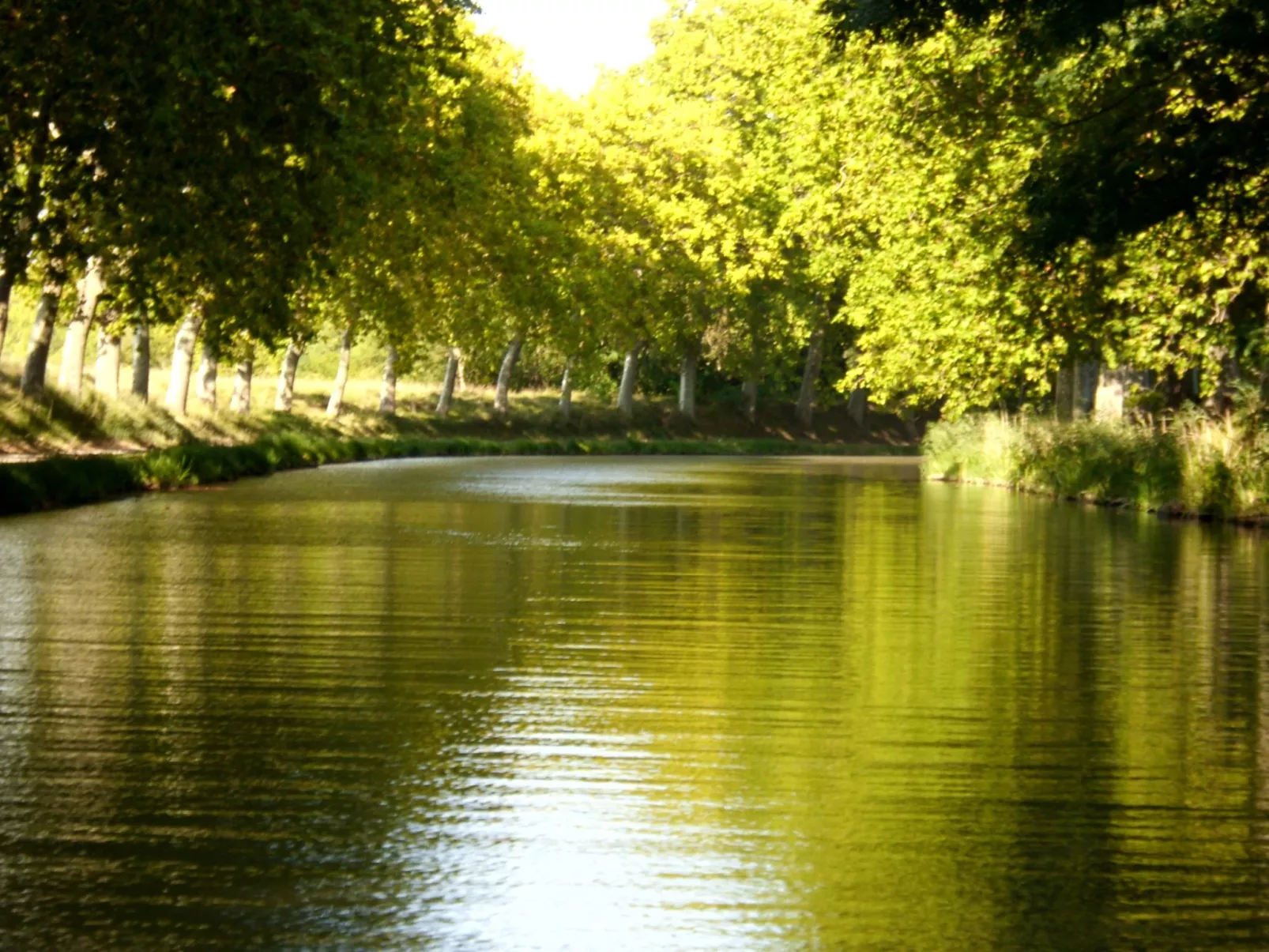 Maison Bleu - Outside