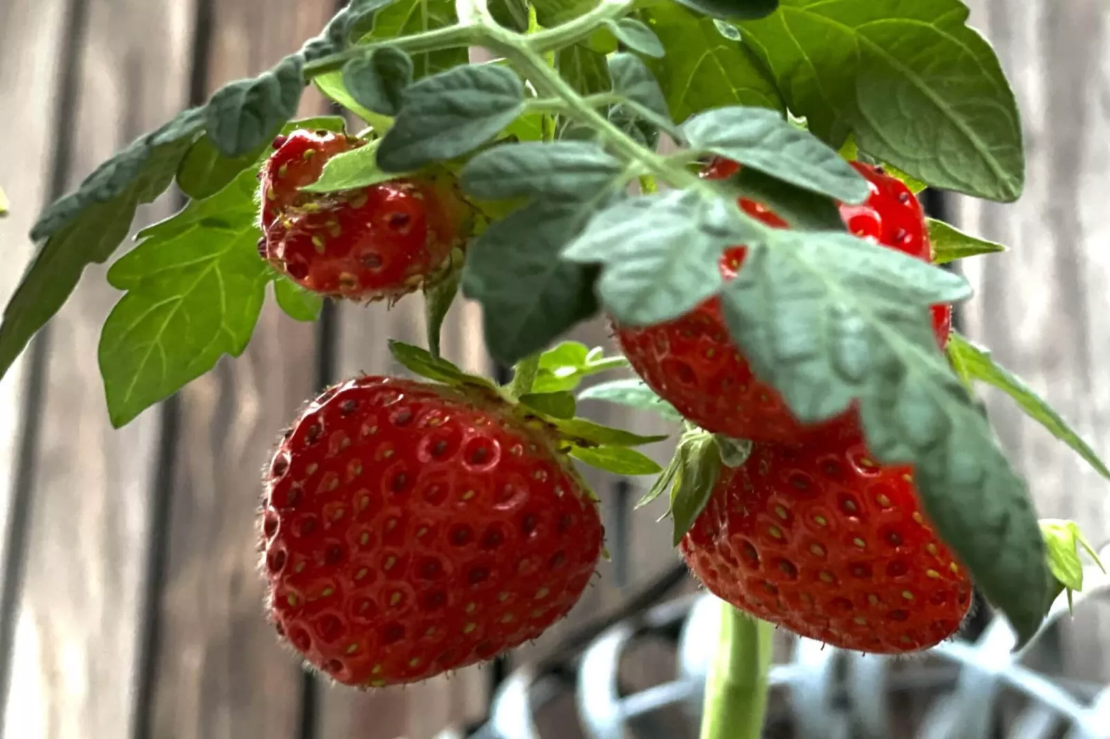 5 Sterne Ferienhaus in Vesterøy - Nicht zugeordnet