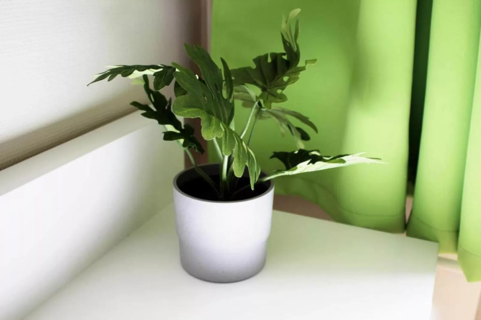 Single Room - Ambiance