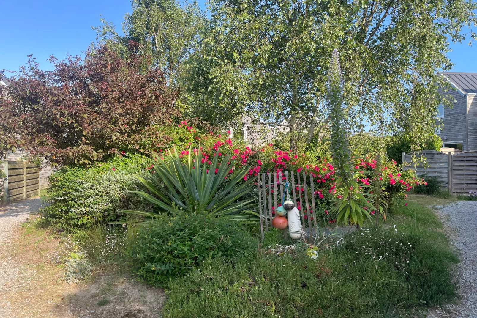 Maison de Vacances Le Conquet - Gardens in summer